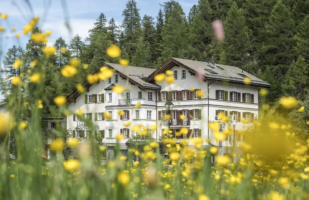 Hotel Maria-1